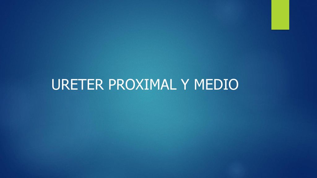 definición de permeabilidad ureteral definición de permeabilidad ureteral